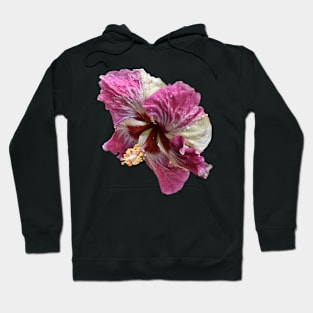 Portrait of a Hibiscus Hoodie